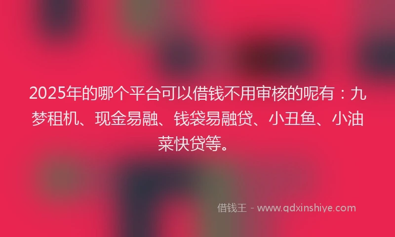 2025年的哪个平台可以借钱不用审核的呢有：九梦租机、现金易融、钱袋易融贷、小丑鱼、小油菜快贷等。
