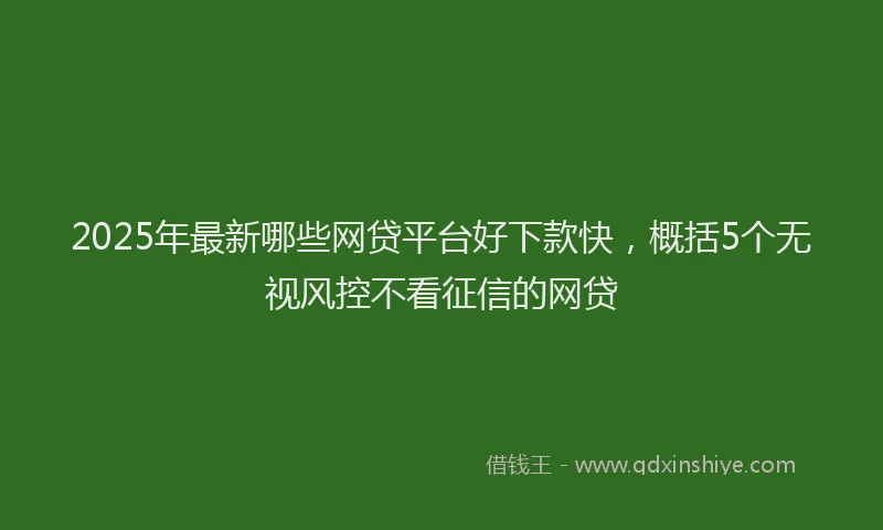 2025年最新哪些网贷平台好下款快，概括5个无视风控不看征信的网贷