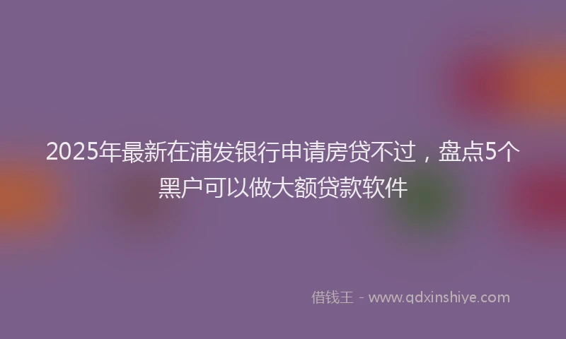 2025年最新在浦发银行申请房贷不过，盘点5个黑户可以做大额贷款软件