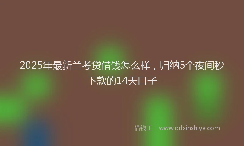 2025年最新兰考贷借钱怎么样，归纳5个夜间秒下款的14天口子