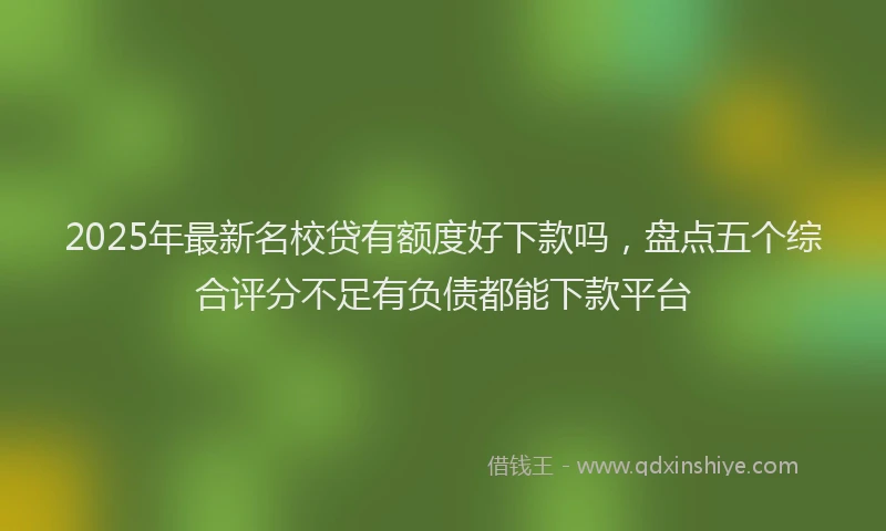 2025年最新名校贷有额度好下款吗，盘点五个综合评分不足有负债都能下款平台