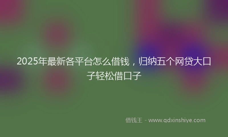 2025年最新各平台怎么借钱，归纳五个网贷大口子轻松借口子