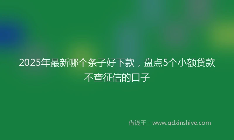 2025年最新哪个条子好下款，盘点5个小额贷款不查征信的口子