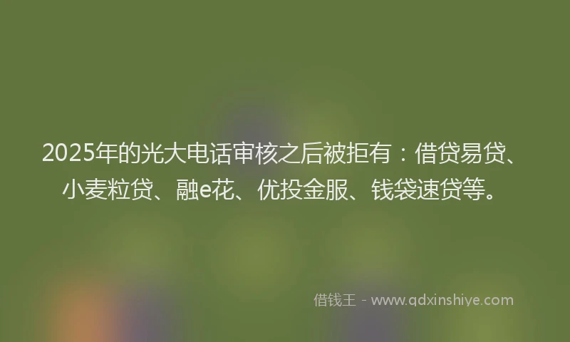2025年的光大电话审核之后被拒有：借贷易贷、小麦粒贷、融e花、优投金服、钱袋速贷等。
