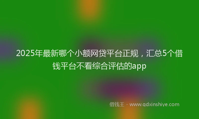 2025年最新哪个小额网贷平台正规，汇总5个借钱平台不看综合评估的app