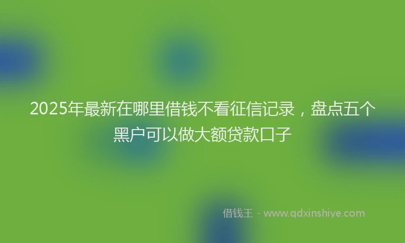 2025年最新在哪里借钱不看征信记录，盘点五个黑户可以做大额贷款口子