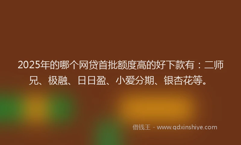 2025年的哪个网贷首批额度高的好下款有：二师兄、极融、日日盈、小爱分期、银杏花等。