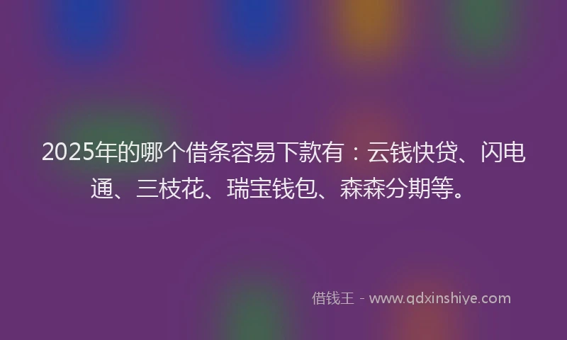 2025年的哪个借条容易下款有：云钱快贷、闪电通、三枝花、瑞宝钱包、森森分期等。