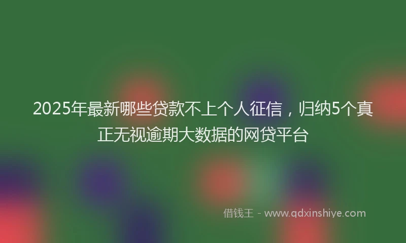 2025年最新哪些贷款不上个人征信，归纳5个真正无视逾期大数据的网贷平台