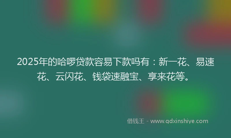 2025年的哈啰贷款容易下款吗有：新一花、易速花、云闪花、钱袋速融宝、享来花等。