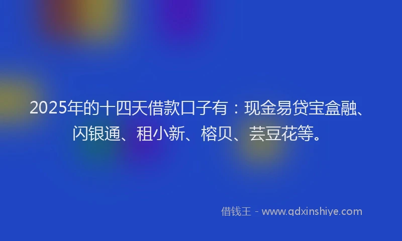 2025年的十四天借款口子有：现金易贷宝盒融、闪银通、租小新、榕贝、芸豆花等。
