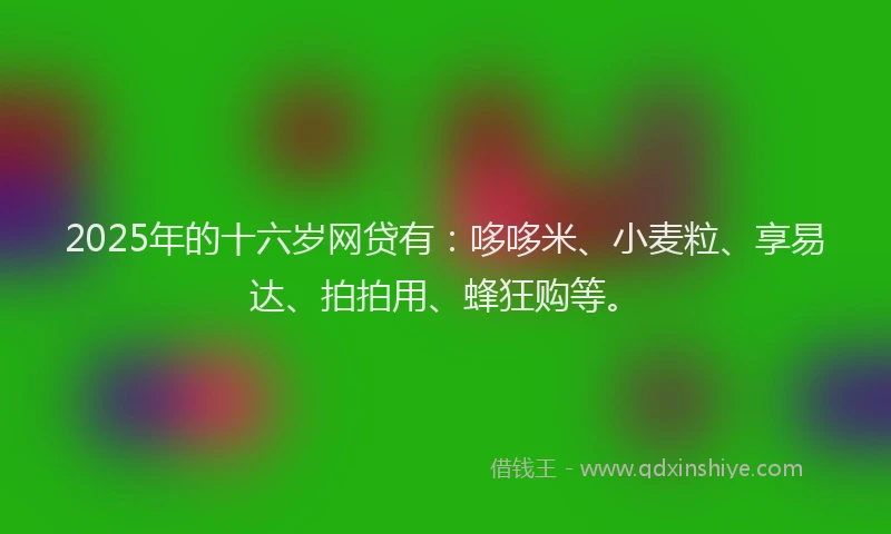 2025年的十六岁网贷有：哆哆米、小麦粒、享易达、拍拍用、蜂狂购等。