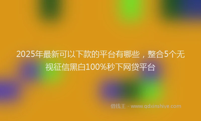2025年最新可以下款的平台有哪些，整合5个无视征信黑白100%秒下网贷平台