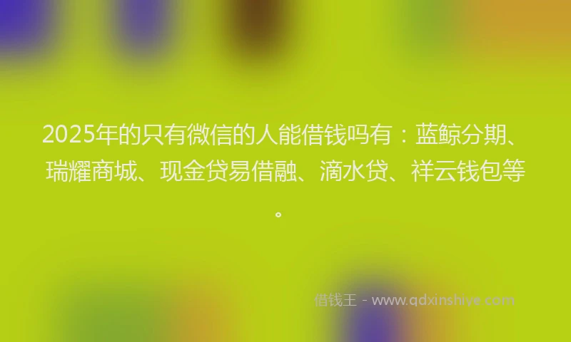2025年的只有微信的人能借钱吗有：蓝鲸分期、瑞耀商城、现金贷易借融、滴水贷、祥云钱包等。