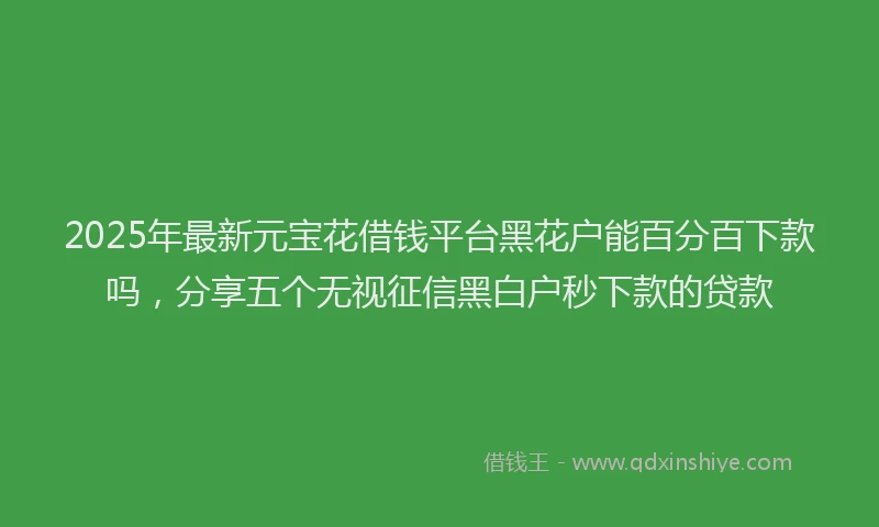 2025年最新元宝花借钱平台黑花户能百分百下款吗，分享五个无视征信黑白户秒下款的贷款