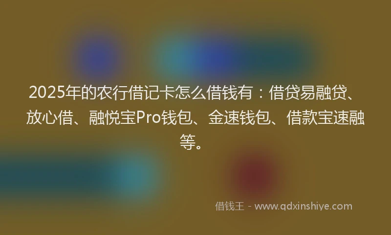 2025年的农行借记卡怎么借钱有：借贷易融贷、放心借、融悦宝Pro钱包、金速钱包、借款宝速融等。