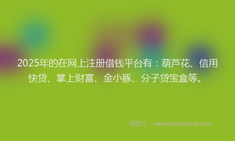 2025年的在网上注册借钱平台有：葫芦花、信用快贷、掌上财富、金小豚、分子贷宝盒等。