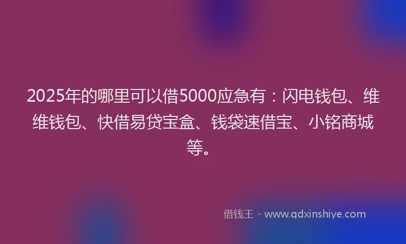 2025年的哪里可以借5000应急有：闪电钱包、维维钱包、快借易贷宝盒、钱袋速借宝、小铭商城等。