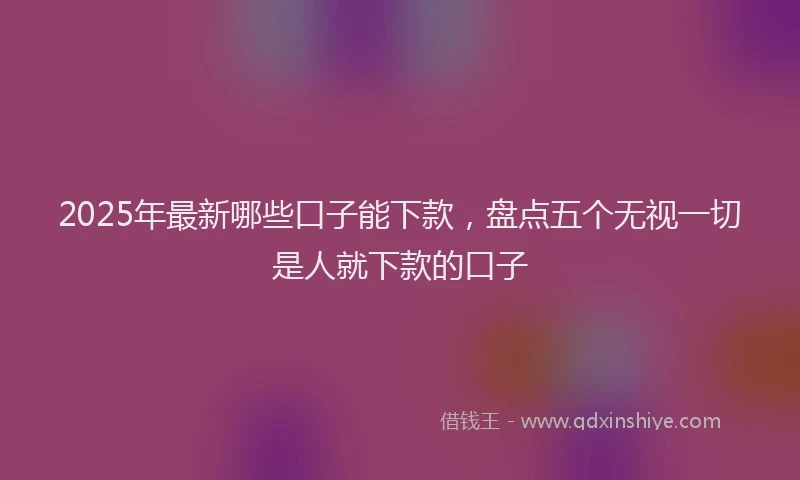 2025年最新哪些口子能下款，盘点五个无视一切是人就下款的口子