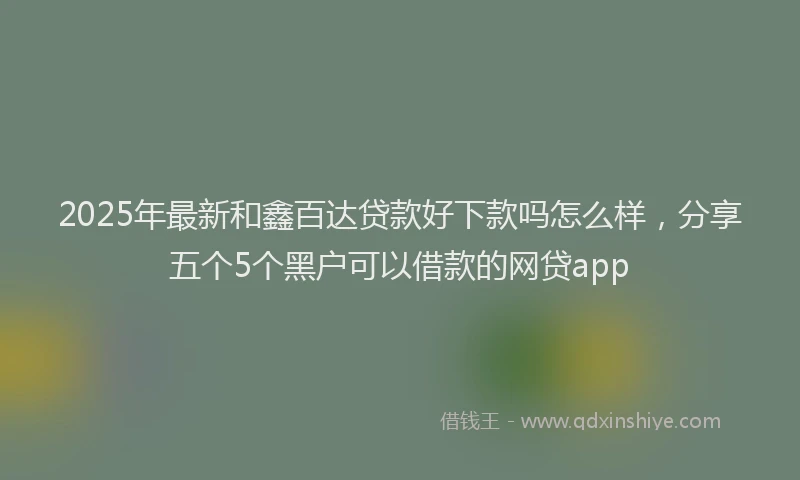 2025年最新和鑫百达贷款好下款吗怎么样，分享五个5个黑户可以借款的网贷app