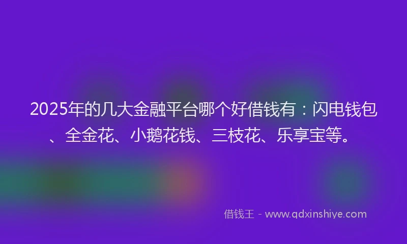 2025年的几大金融平台哪个好借钱有：闪电钱包、全金花、小鹅花钱、三枝花、乐享宝等。