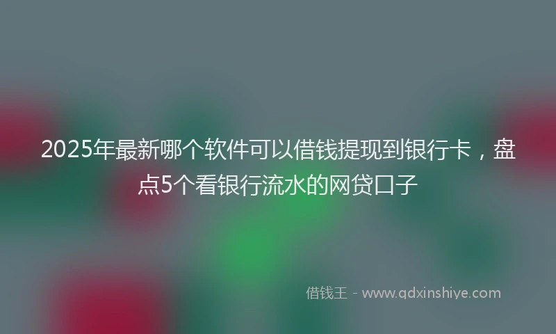 2025年最新哪个软件可以借钱提现到银行卡，盘点5个看银行流水的网贷口子