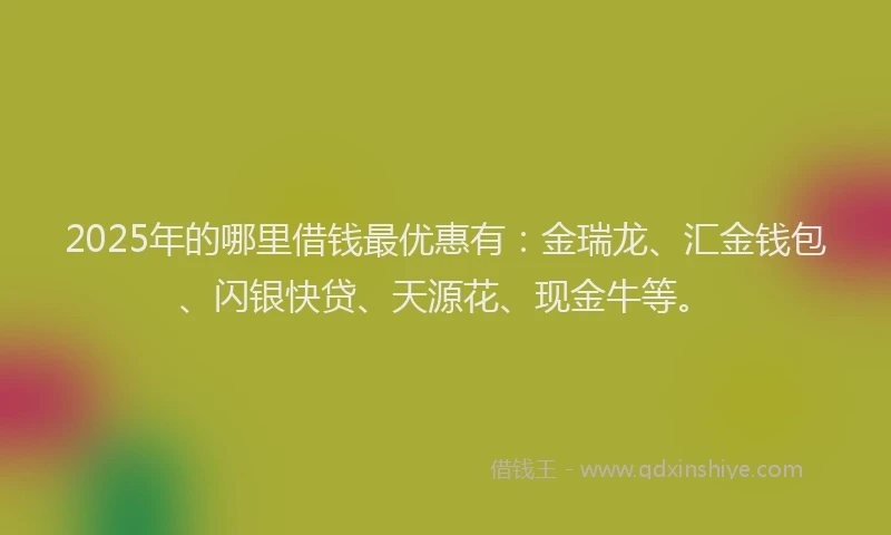 2025年的哪里借钱最优惠有：金瑞龙、汇金钱包、闪银快贷、天源花、现金牛等。