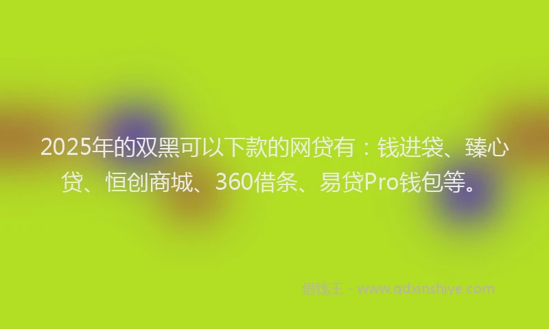2025年的双黑可以下款的网贷有：钱进袋、臻心贷、恒创商城、360借条、易贷Pro钱包等。