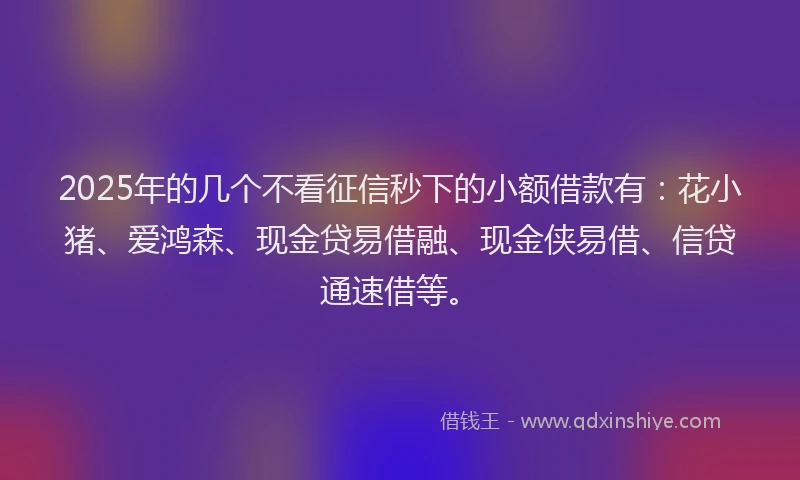 2025年的几个不看征信秒下的小额借款有：花小猪、爱鸿森、现金贷易借融、现金侠易借、信贷通速借等。
