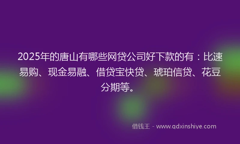 2025年的唐山有哪些网贷公司好下款的有：比速易购、现金易融、借贷宝快贷、琥珀信贷、花豆分期等。