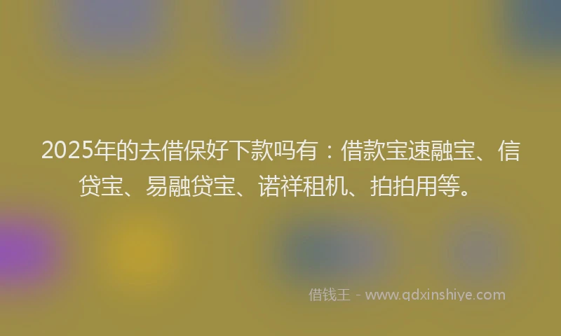 2025年的去借保好下款吗有：借款宝速融宝、信贷宝、易融贷宝、诺祥租机、拍拍用等。