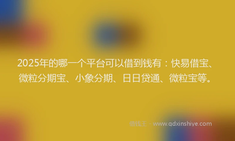 2025年的哪一个平台可以借到钱有：快易借宝、微粒分期宝、小象分期、日日贷通、微粒宝等。