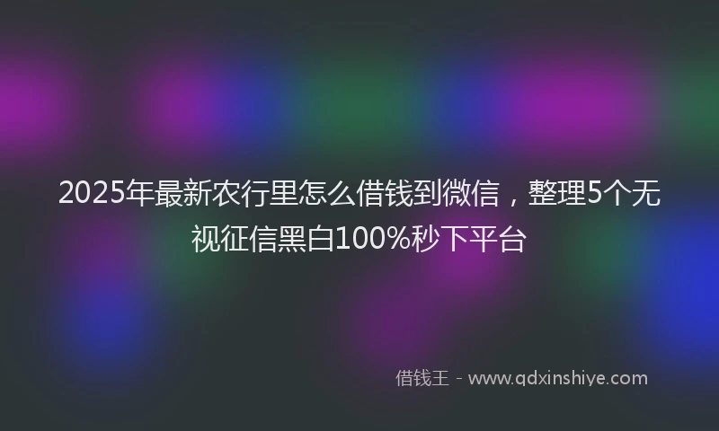 2025年最新农行里怎么借钱到微信，整理5个无视征信黑白100%秒下平台