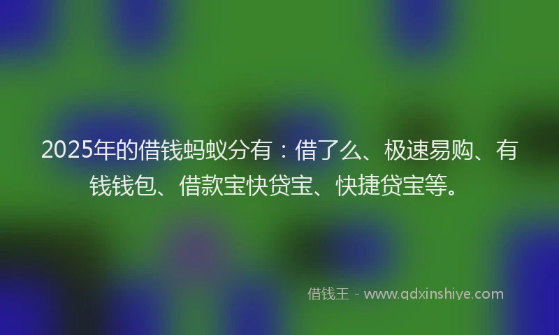 2025年的借钱蚂蚁分有：借了么、极速易购、有钱钱包、借款宝快贷宝、快捷贷宝等。