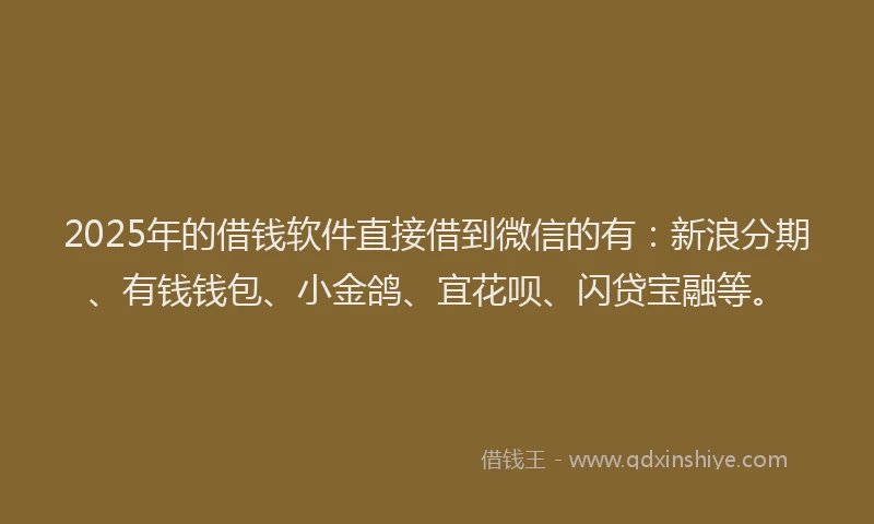 2025年的借钱软件直接借到微信的有：新浪分期、有钱钱包、小金鸽、宜花呗、闪贷宝融等。