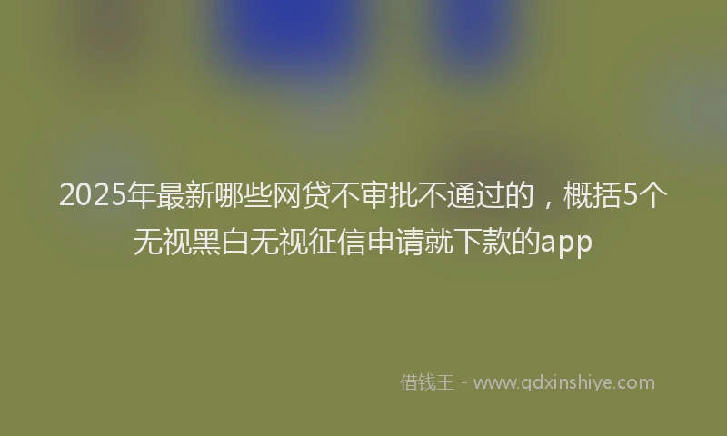 2025年最新哪些网贷不审批不通过的，概括5个无视黑白无视征信申请就下款的app