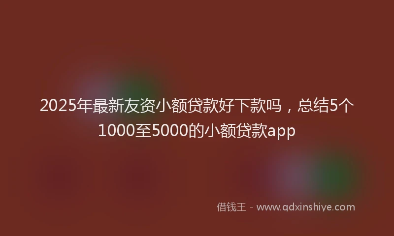 2025年最新友资小额贷款好下款吗，总结5个1000至5000的小额贷款app