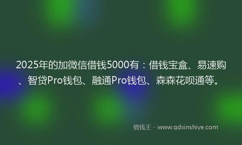 2025年的加微信借钱5000有：借钱宝盒、易速购、智贷Pro钱包、融通Pro钱包、森森花呗通等。