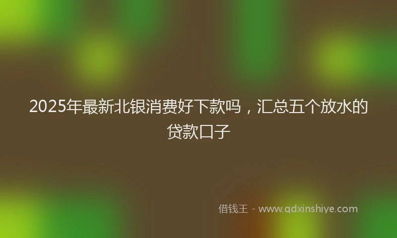 2025年最新北银消费好下款吗，汇总五个放水的贷款口子