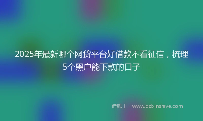 2025年最新哪个网贷平台好借款不看征信，梳理5个黑户能下款的口子