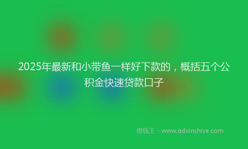 2025年最新和小带鱼一样好下款的，概括五个公积金快速贷款口子
