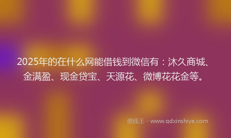 2025年的在什么网能借钱到微信有：沐久商城、金满盈、现金贷宝、天源花、微博花花金等。