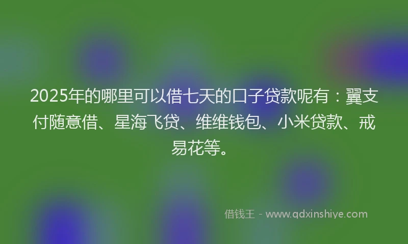 2025年的哪里可以借七天的口子贷款呢有：翼支付随意借、星海飞贷、维维钱包、小米贷款、戒易花等。