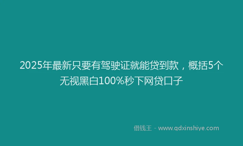 2025年最新只要有驾驶证就能贷到款，概括5个无视黑白100%秒下网贷口子