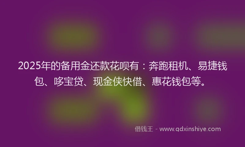 2025年的备用金还款花呗有：奔跑租机、易捷钱包、哆宝贷、现金侠快借、惠花钱包等。