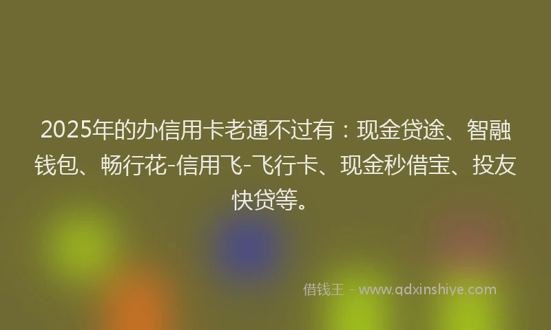 2025年的办信用卡老通不过有:现金贷途、智融钱包、畅行花-信用飞-飞行卡、现金秒借宝、投友快贷等。