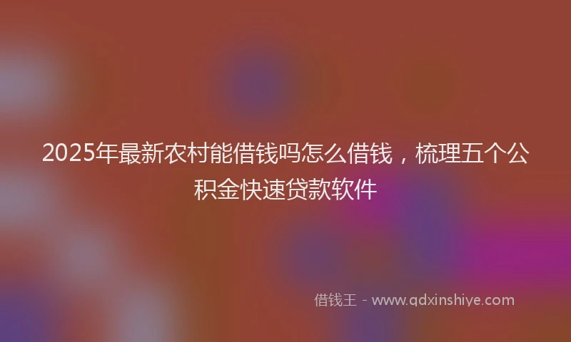 2025年最新农村能借钱吗怎么借钱，梳理五个公积金快速贷款软件