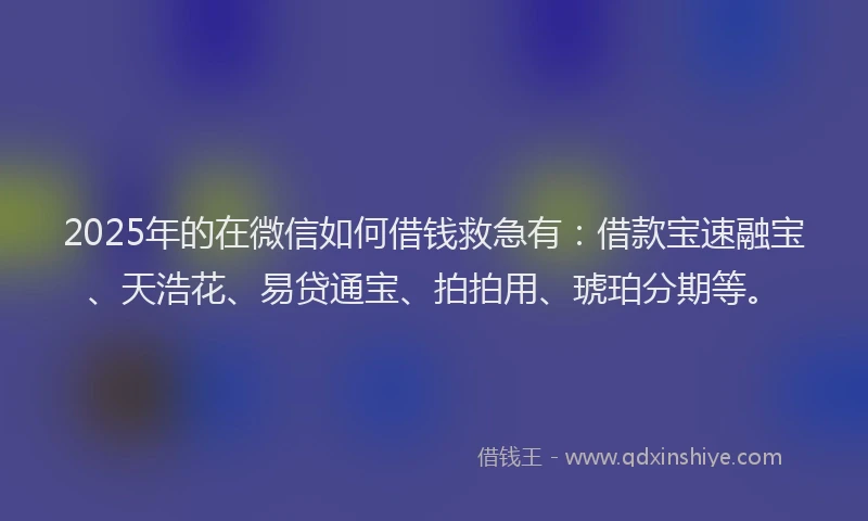 2025年的在微信如何借钱救急有：借款宝速融宝、天浩花、易贷通宝、拍拍用、琥珀分期等。
