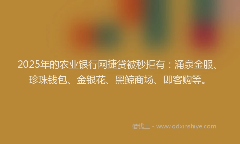 2025年的农业银行网捷贷被秒拒有：涌泉金服、珍珠钱包、金银花、黑鲸商场、即客购等。