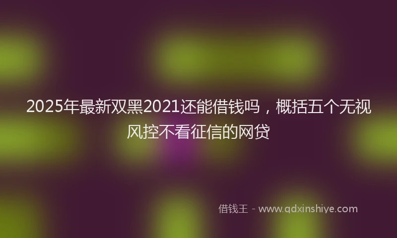 2025年最新双黑2021还能借钱吗，概括五个无视风控不看征信的网贷